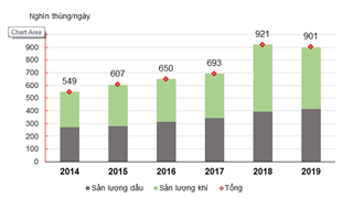Chiến lược phát triển của Pertamina, kế hoạch đến năm 2025