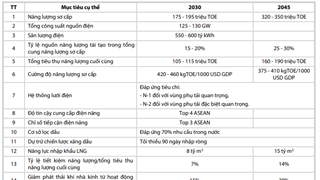 Đề xuất một số định hướng bổ sung, sửa đổi chiến lược phát triển Tập đoàn Dầu khí Việt Nam
