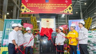 Nỗ lực vượt khủng hoảng "kép", đưa các dự án về đích đúng tiến độ