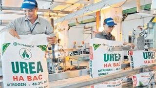 Bộ Công Thương đề nghị đưa phân bón là mặt hàng chịu thuế giá trị gia tăng từ 0-5%