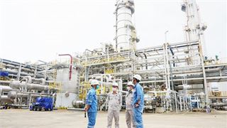 Promoting management efficiency, Petrovietnam has strong growth