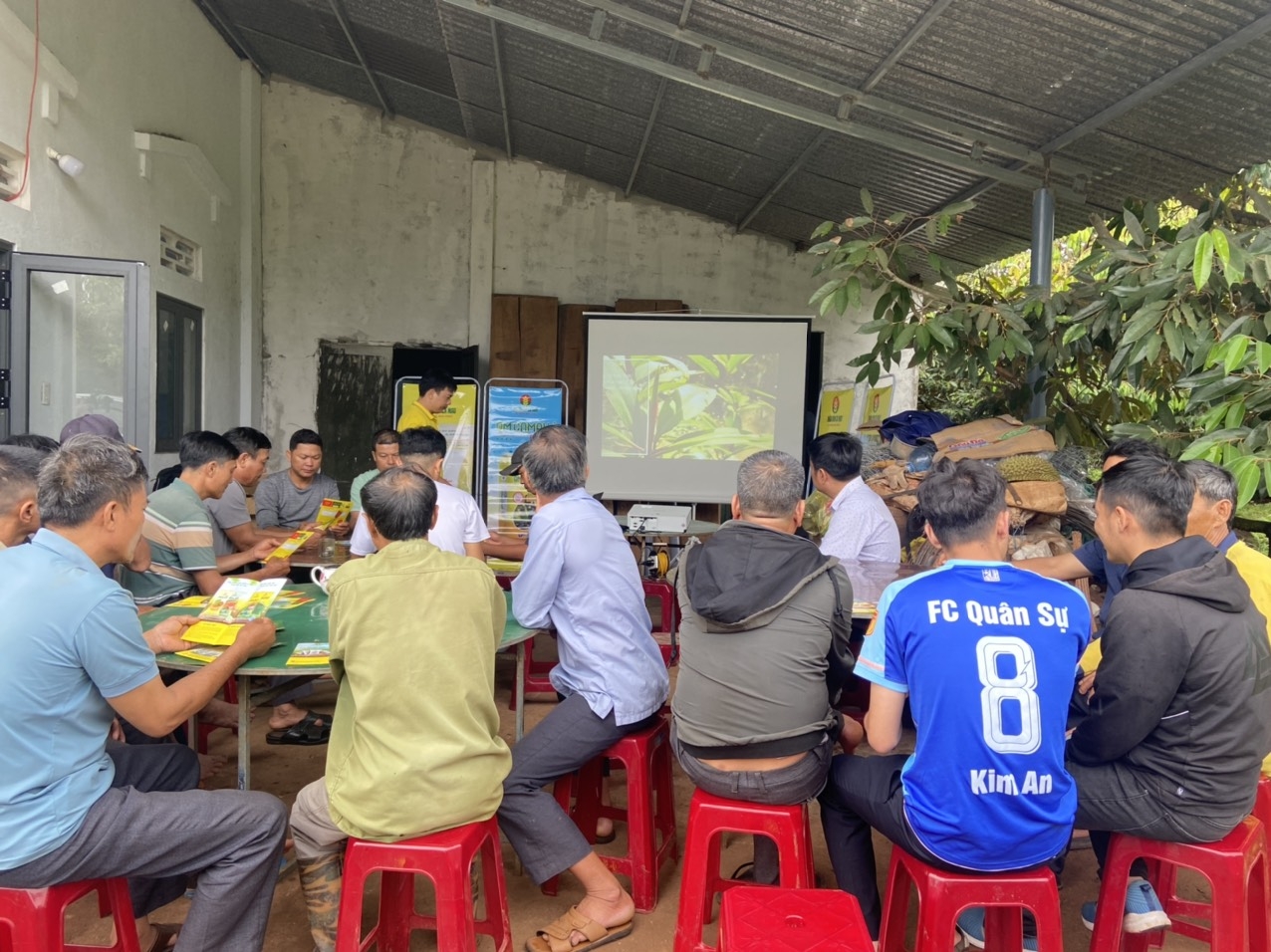 Phân bón Cà Mau - Giải pháp giảm chi phí canh tác đối với cây sầu riêng Tây Nguyên