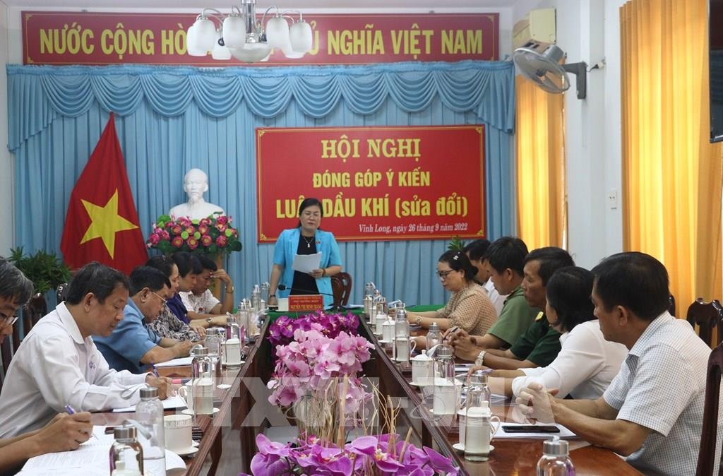 Phó trưởng đoàn Đại biểu Quốc hội tỉnh Vĩnh Long Nguyễn Thị Minh Trang