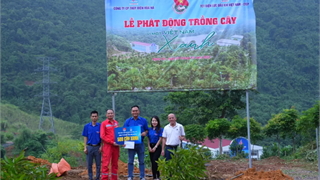PV Power hưởng ứng phong trào trồng cây tại Nhà máy Thuỷ điện Hủa Na