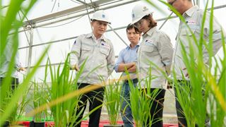Tổng giám đốc PVCFC Văn Tiến Thanh nhận vinh danh Doanh nhân tiêu biểu năm 2022