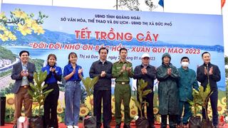 BSR tham gia và tài trợ Tết trồng cây tại thị xã Đức Phổ