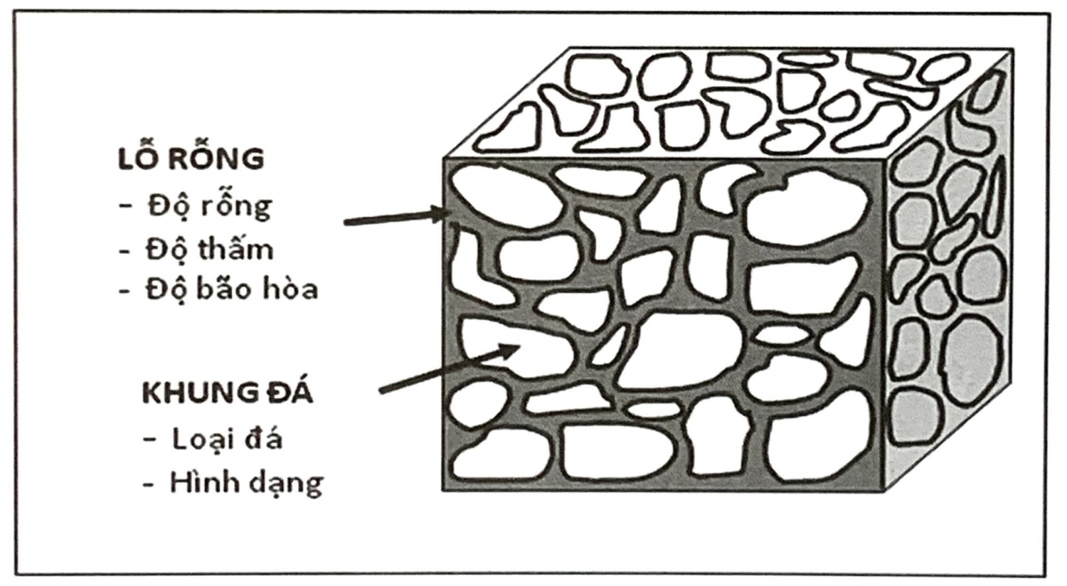 Hệ thống dầu khí Hệ thống dầu khí - Đá sinh dầu, đá chứa và đá chắn