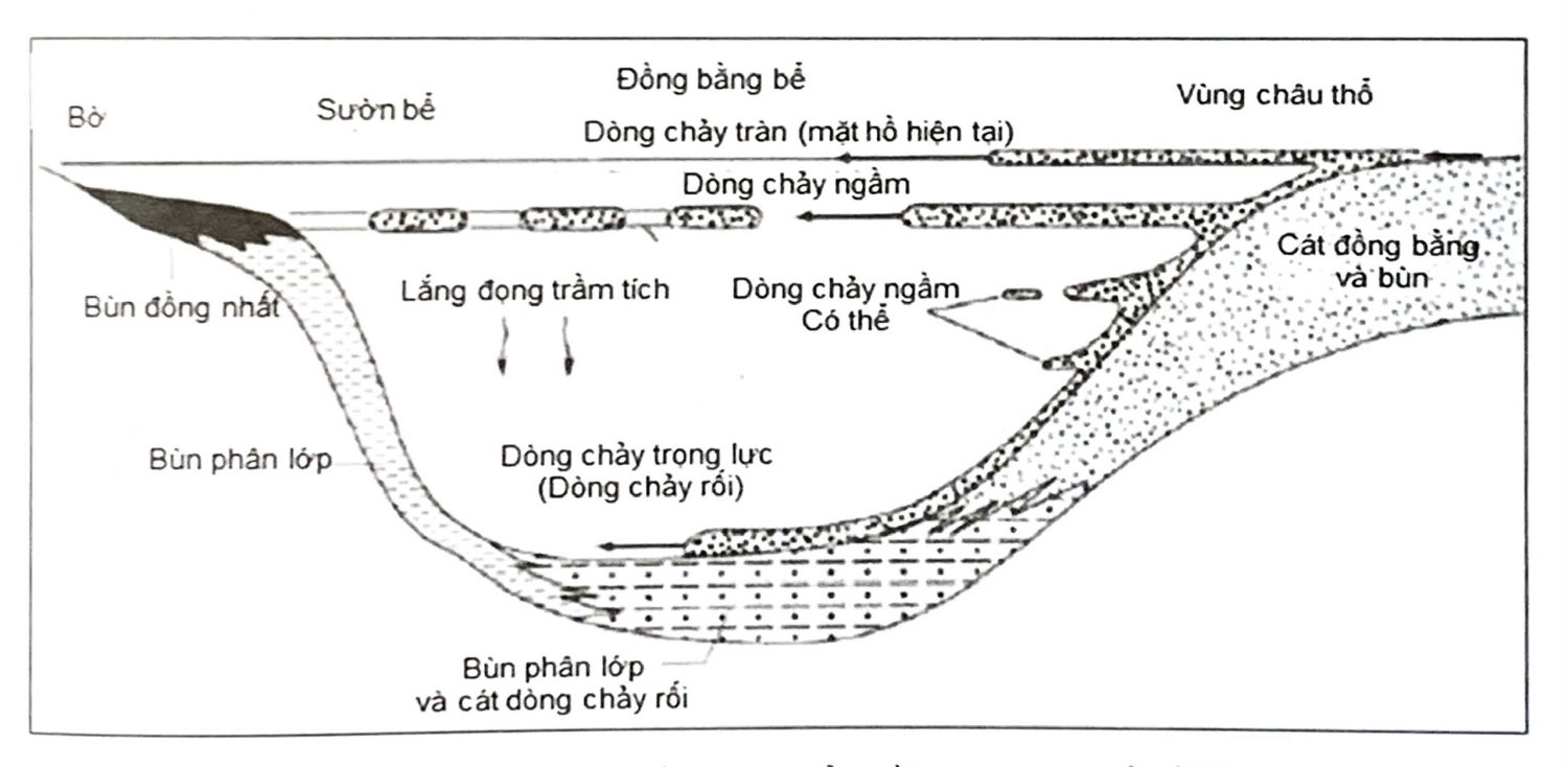 Trầm tích bể hồ Trầm tích bể hồ