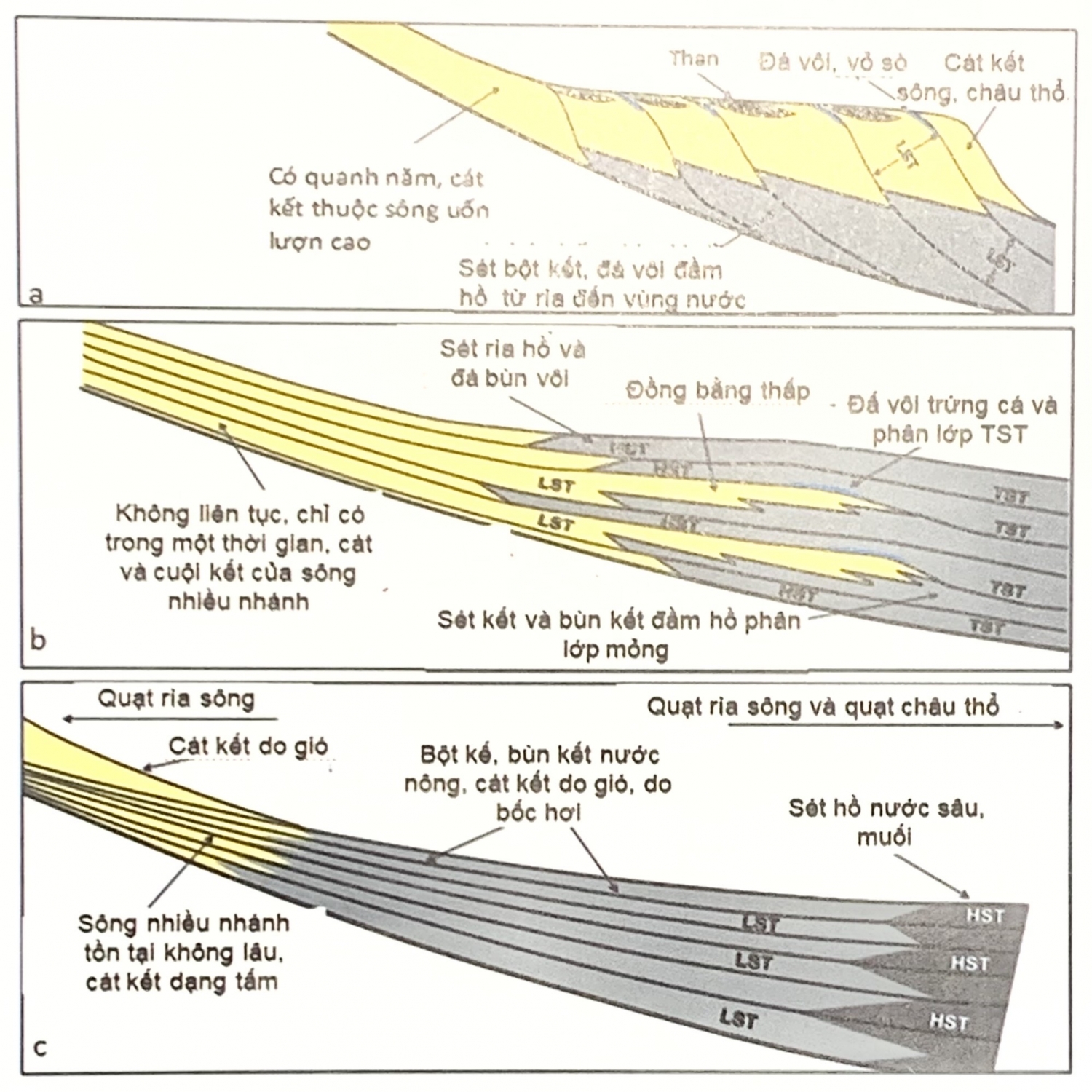 Trầm tích bể hồ Trầm tích bể hồ