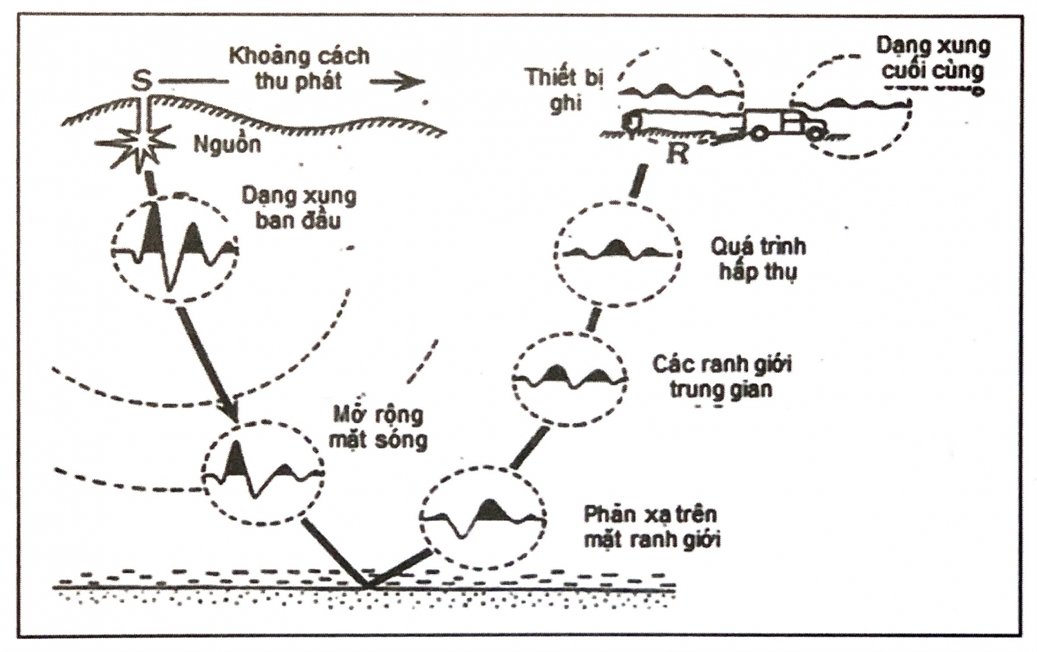 Các đặc điểm sóng đàn hồi Các đặc điểm sóng đàn hồi