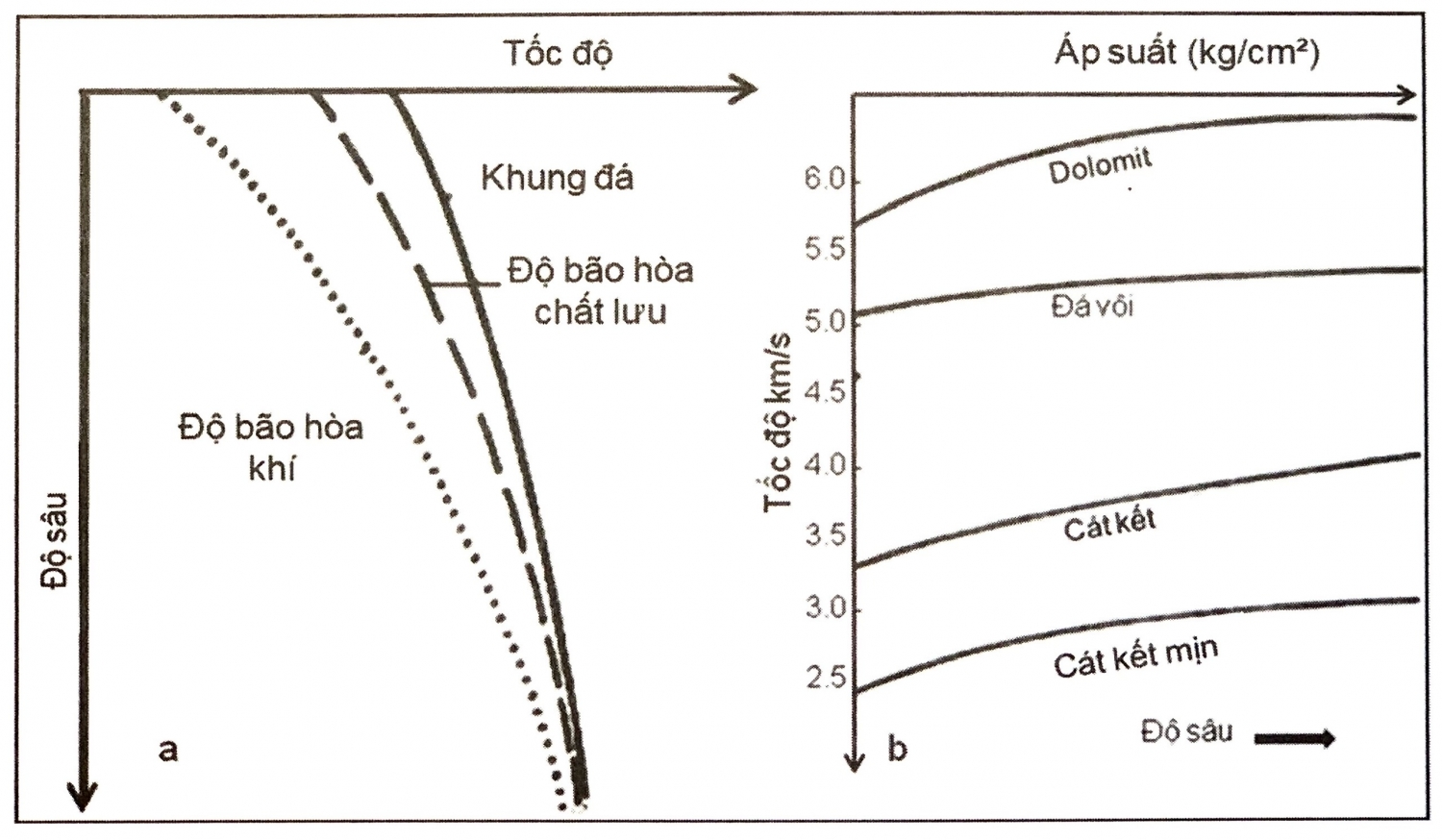 Các đặc điểm sóng đàn hồi Các đặc điểm sóng đàn hồi