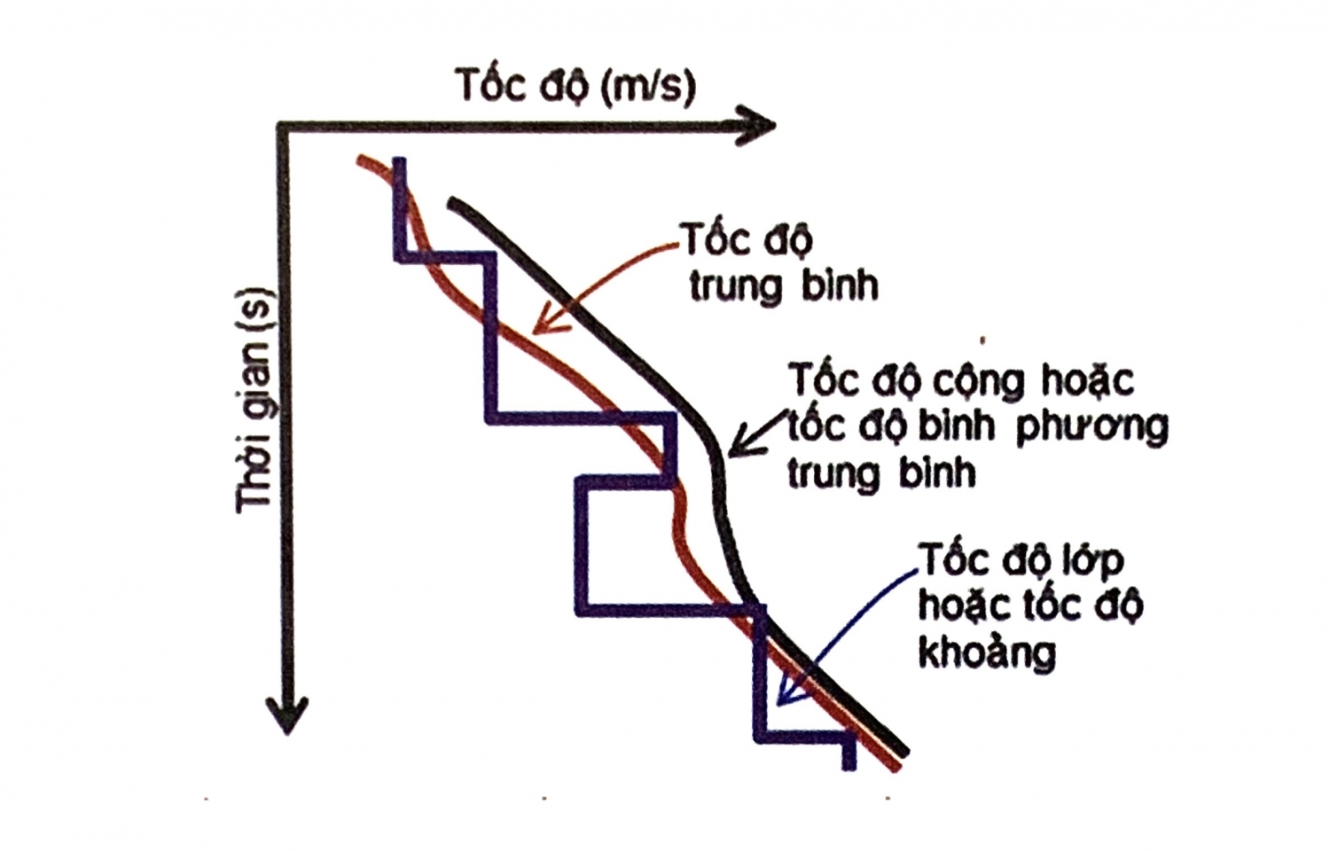 Các đặc điểm sóng đàn hồi Các đặc điểm sóng đàn hồi