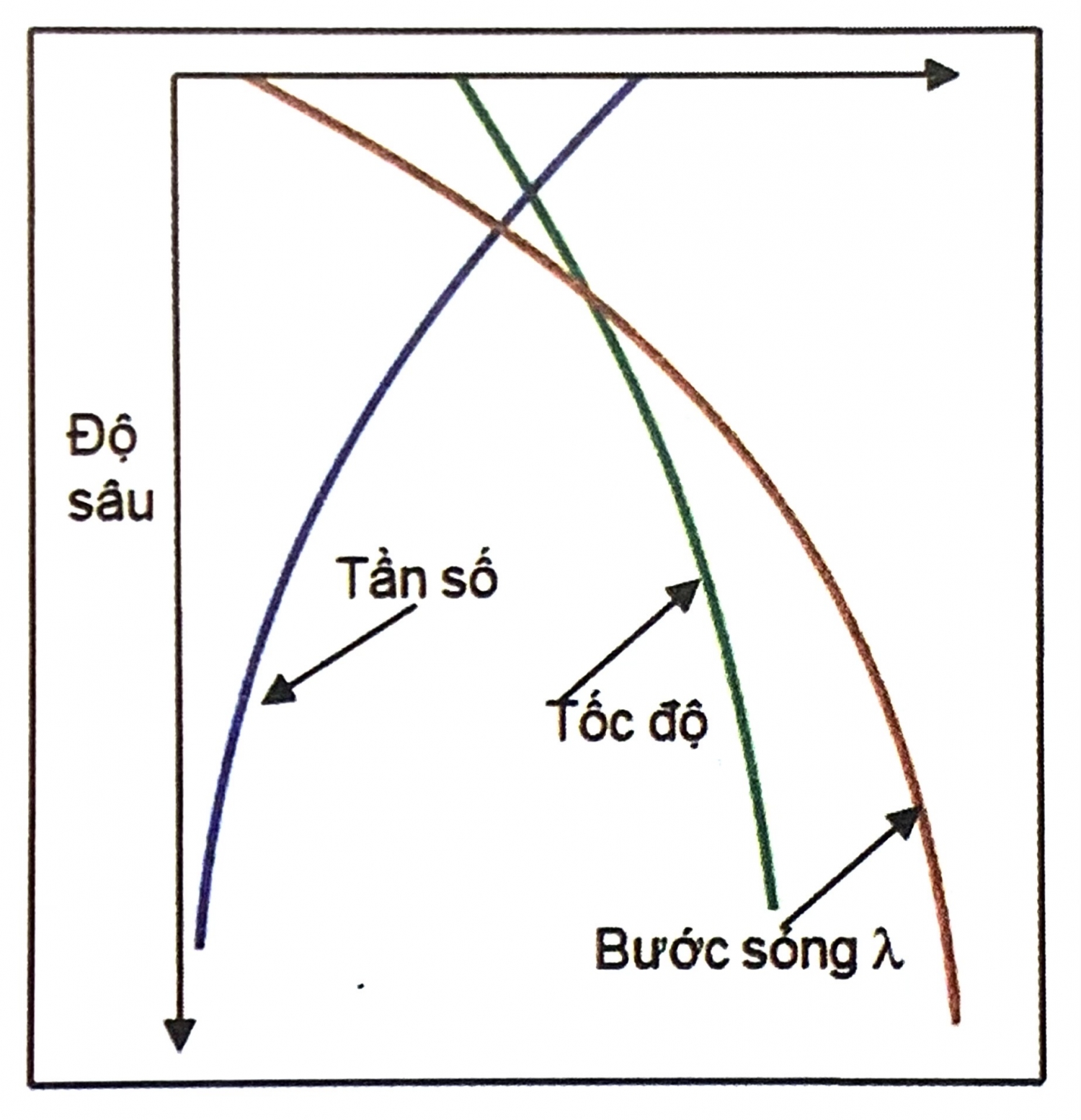 Các đặc điểm sóng đàn hồi Các đặc điểm sóng đàn hồi