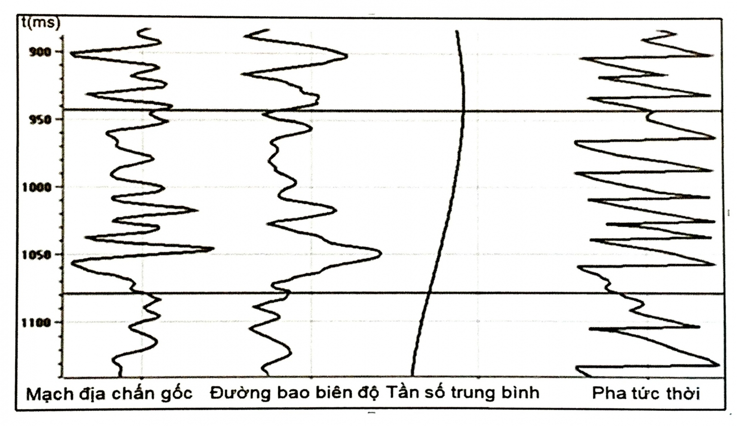 Các thuộc tính theo mẫu Các thuộc tính theo mẫu
