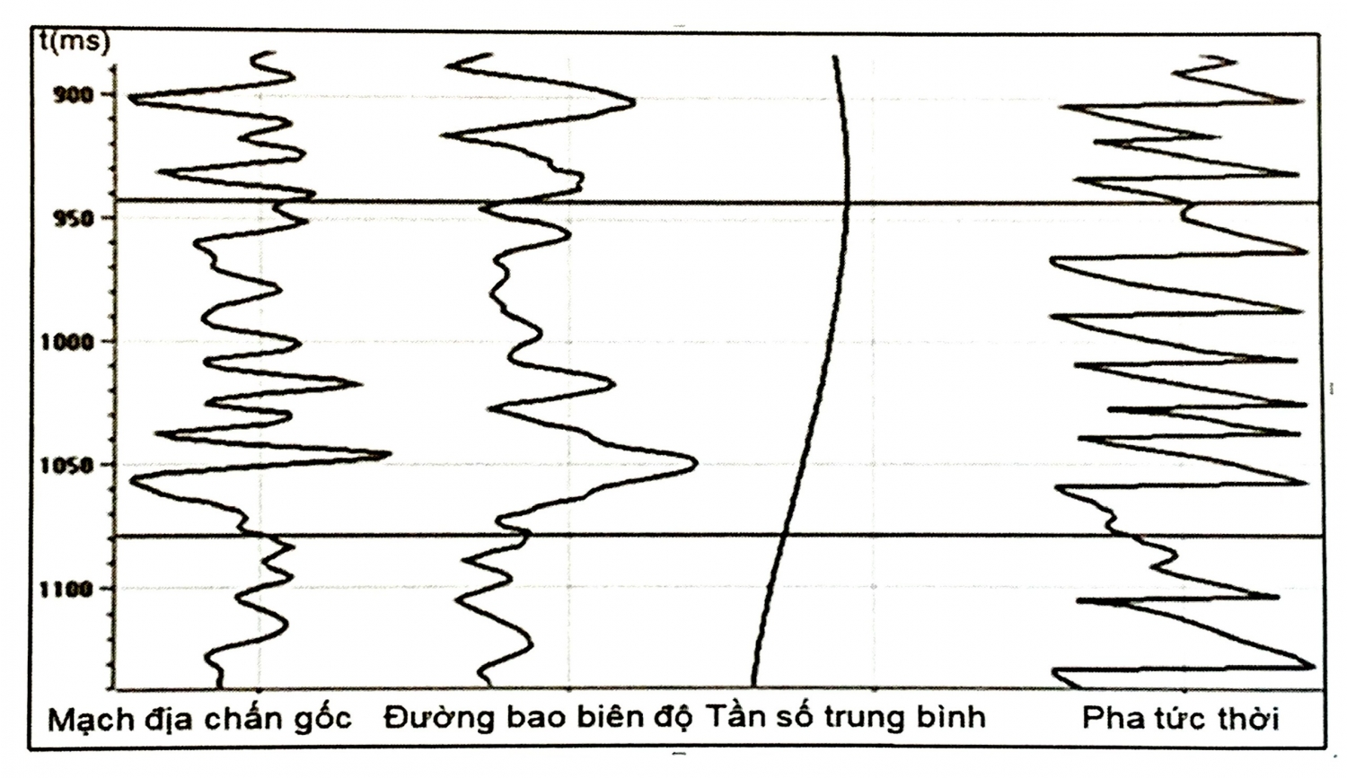 Các thuộc tính theo mẫu