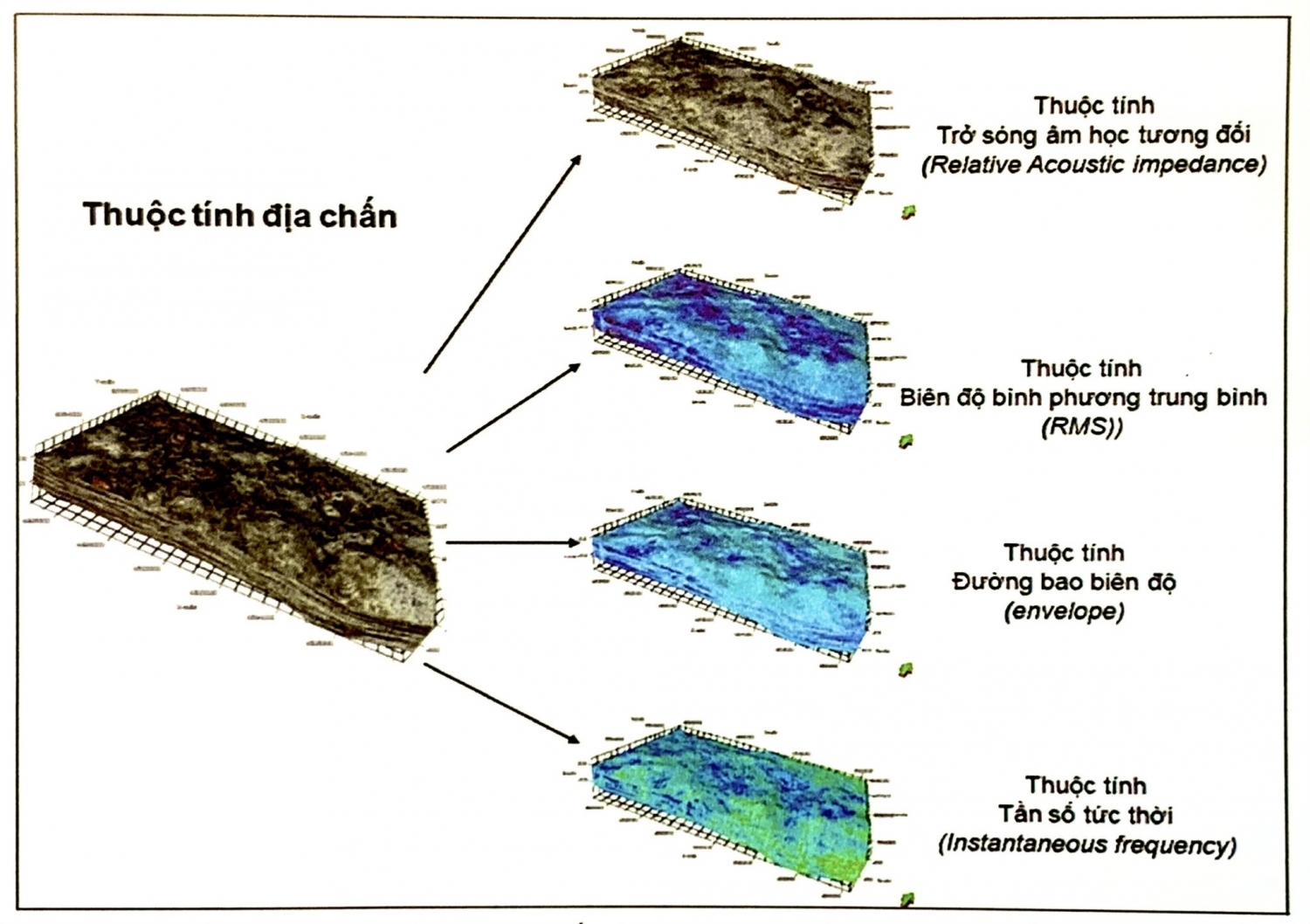 Các thuộc tính biên độ