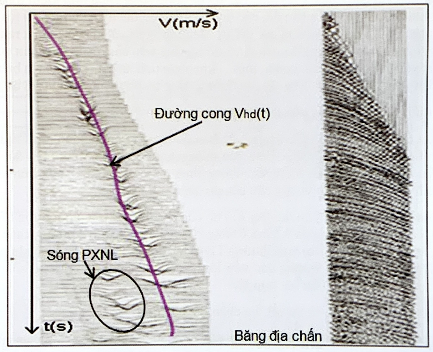 Minh giải lát cắt địa chấn - Phần 2 Minh giải lát cắt địa chấn - Phần 2