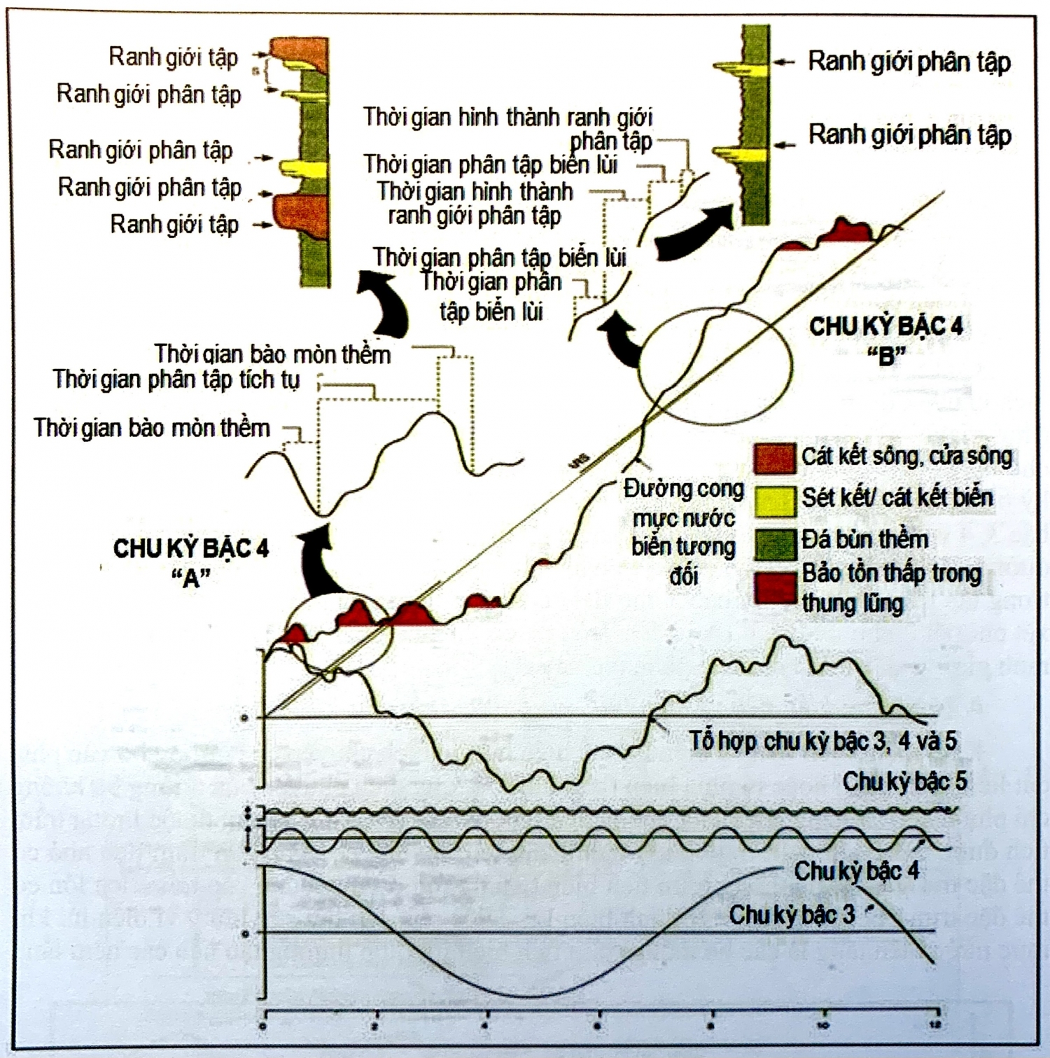 Chu kỳ trầm tích và sự thay đổi mực nước biển