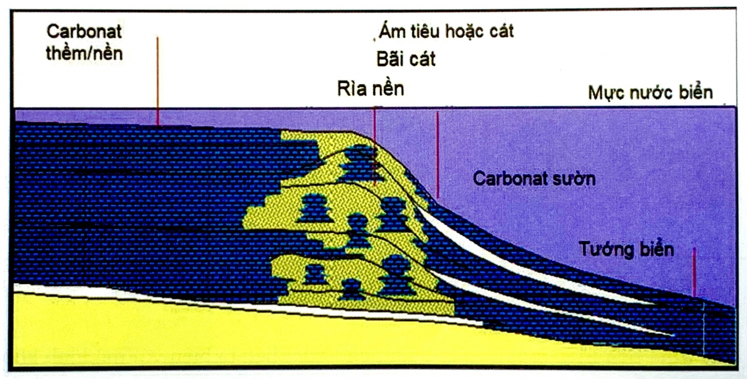 Địa tầng phân tập với đá carbonat Địa tầng phân tập với đá carbonat