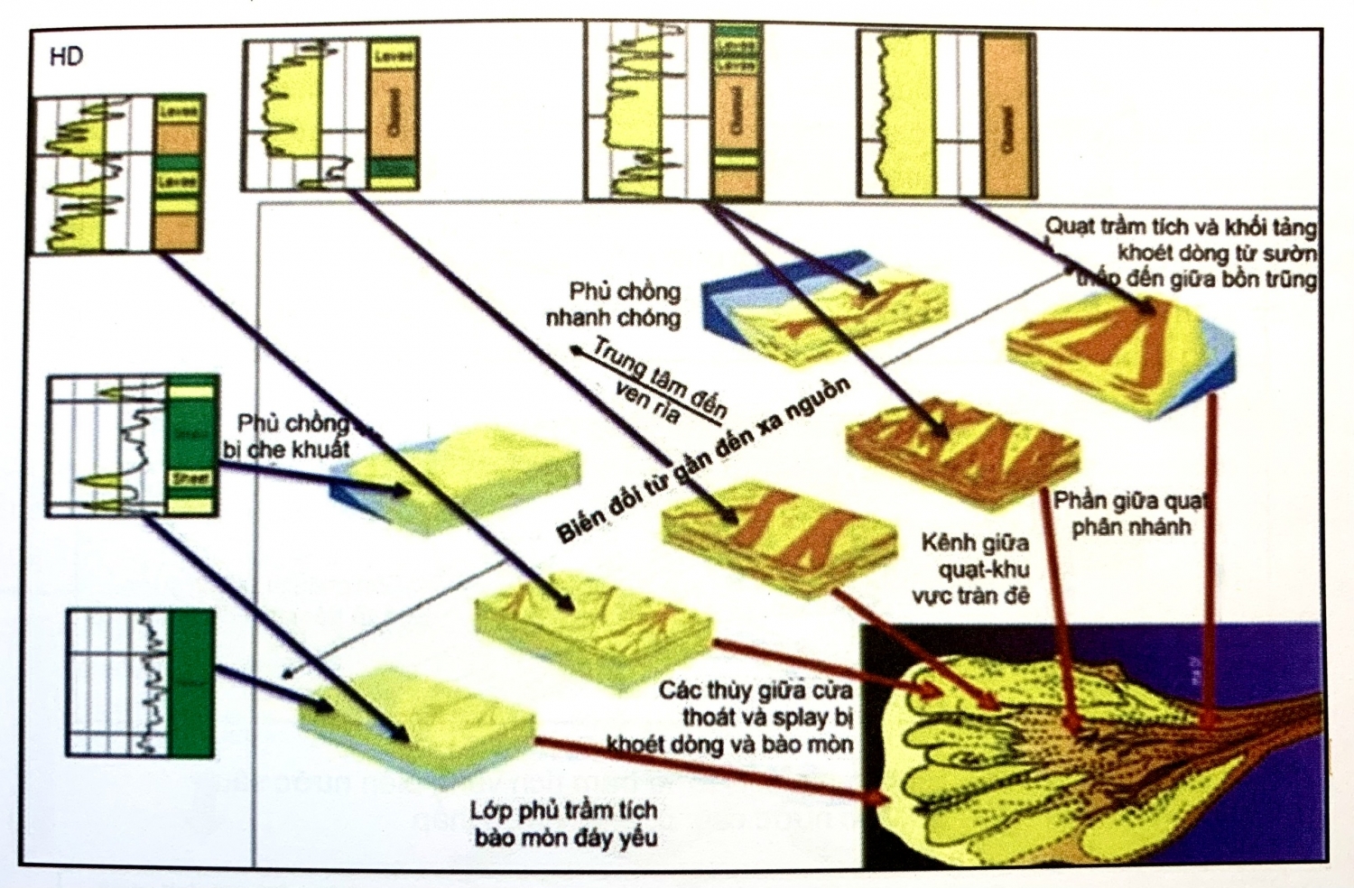 Địa tầng phân tập vùng biển nước sâu Địa tầng phân tập vùng biển nước sâu