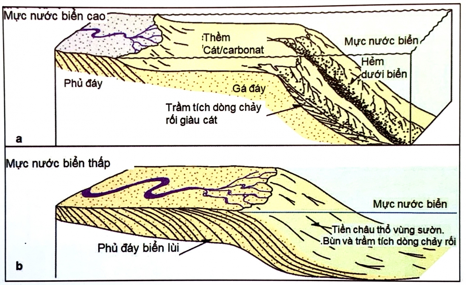 Địa tầng phân tập vùng biển nước sâu Địa tầng phân tập vùng biển nước sâu