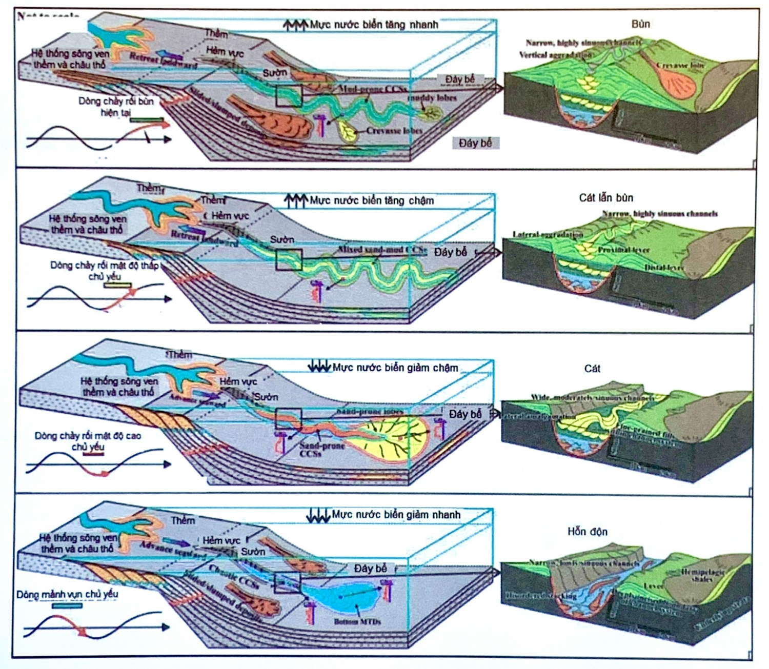 Địa tầng phân tập vùng biển nước sâu