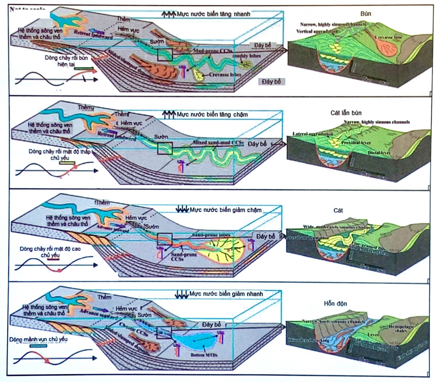 Địa tầng phân tập vùng biển nước sâu Địa tầng phân tập vùng biển nước sâu