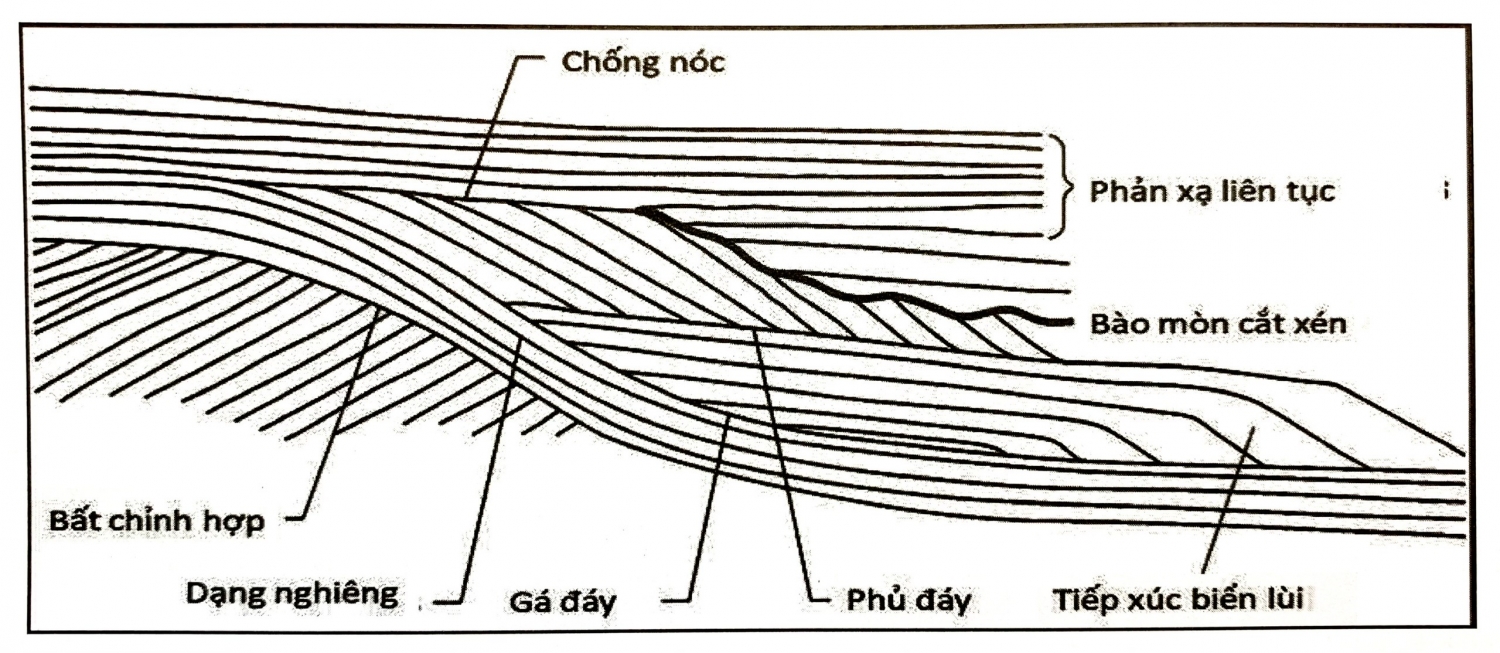 Minh giải địa tầng phân tập   Phần 1