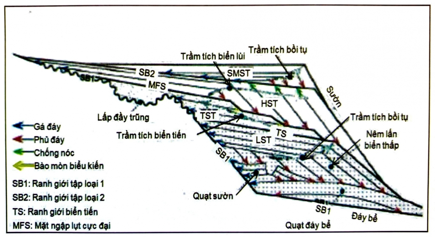 Minh giải địa tầng phân tập   Phần 1