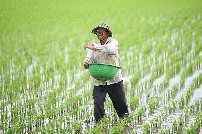 Phân bón Việt lao đao vì chịu “tác động kép” Phân bón Việt lao đao vì chịu “tác động kép”