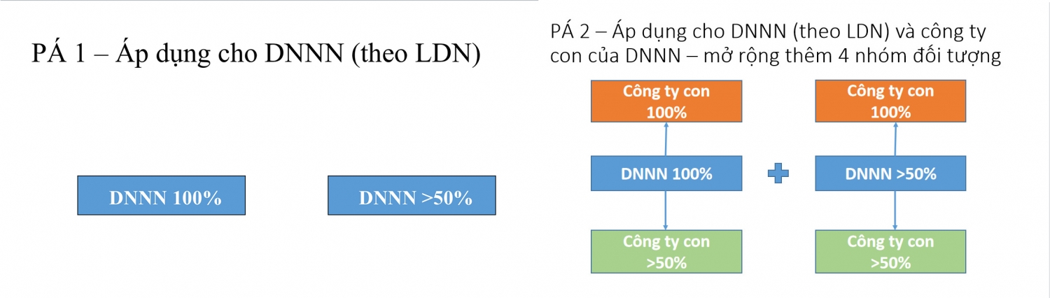 Chính phủ bảo lưu quan điểm về phạm vi áp dụng đấu thầu đối với DNNN