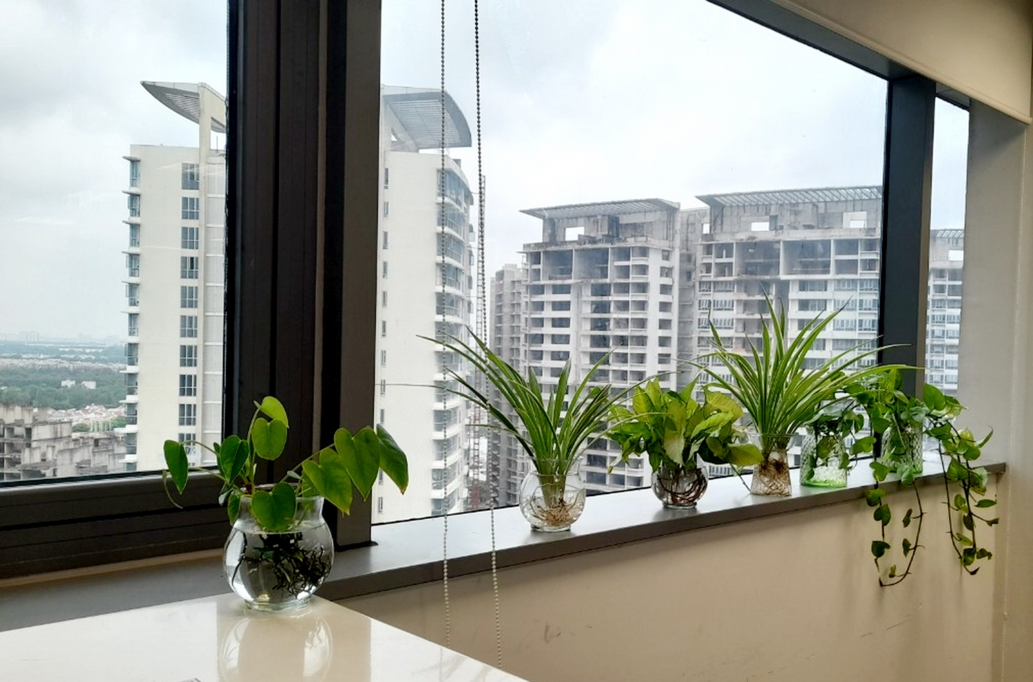 Góc xanh tươi đẹp của Ban Đầu tư Xây dựng trong chương trình “Mỗi người ươm một mầm xanh” do Công đoàn CQĐH PV GAS phát động Góc xanh tươi đẹp của Ban Đầu tư Xây dựng trong chương trình “Mỗi người ươm một mầm xanh” do Công đoàn CQĐH PV GAS phát động