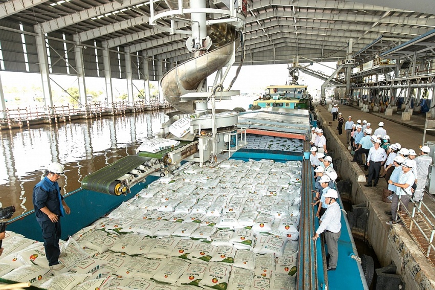 Xuất bán sản phẩm Phân bón Dầu khí Cà Mau