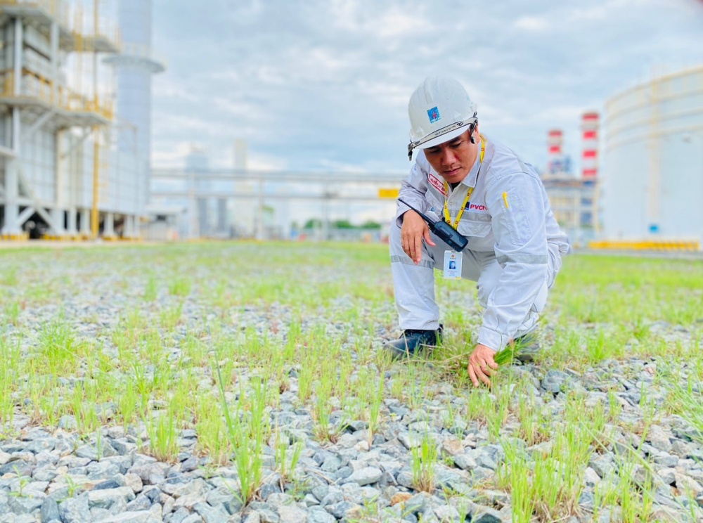 Tác phẩm dự thi 