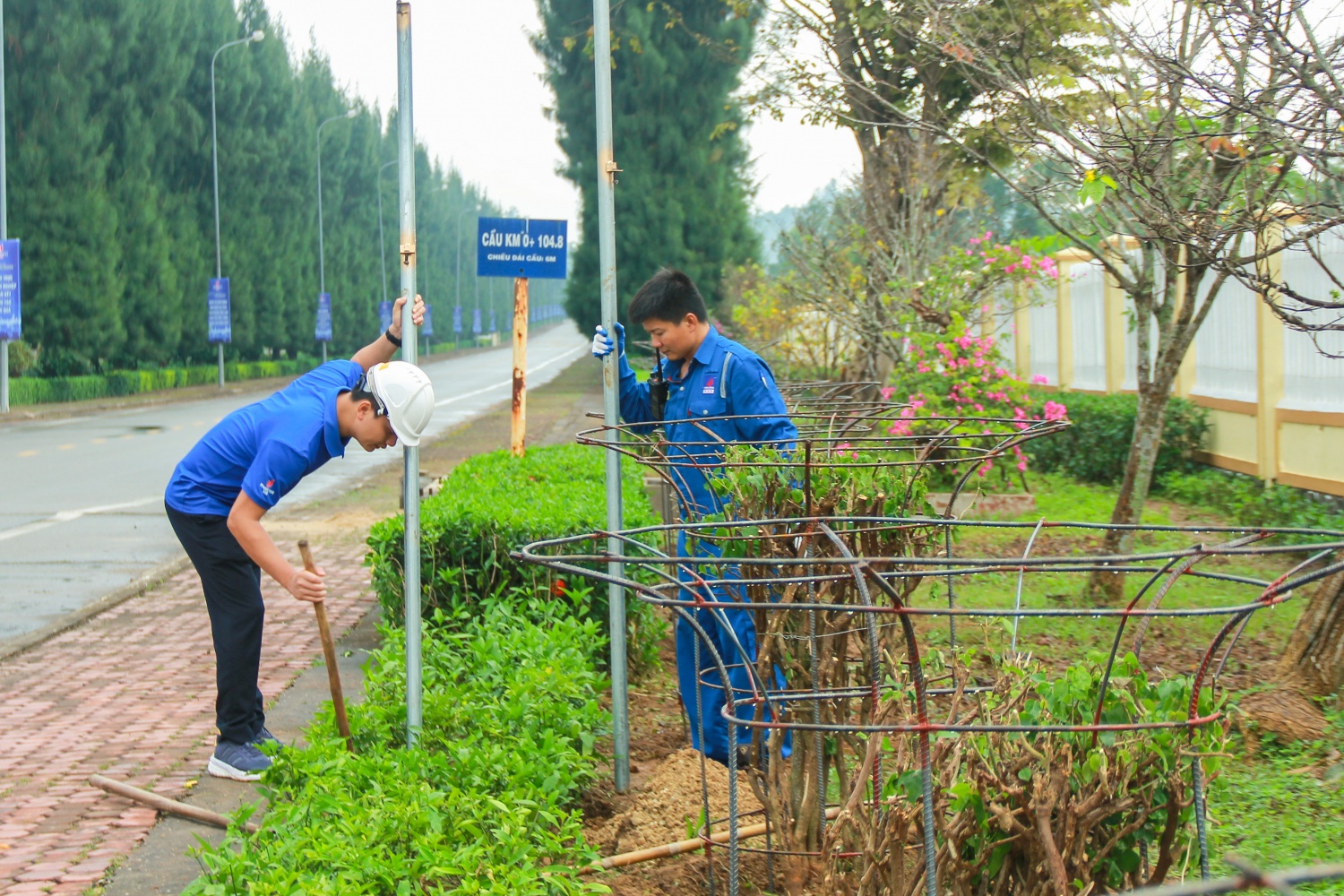 Đoàn Thanh niên BSR tổ chức trồng cây, làm đẹp tuyến đường vào NMLD Dung Quất