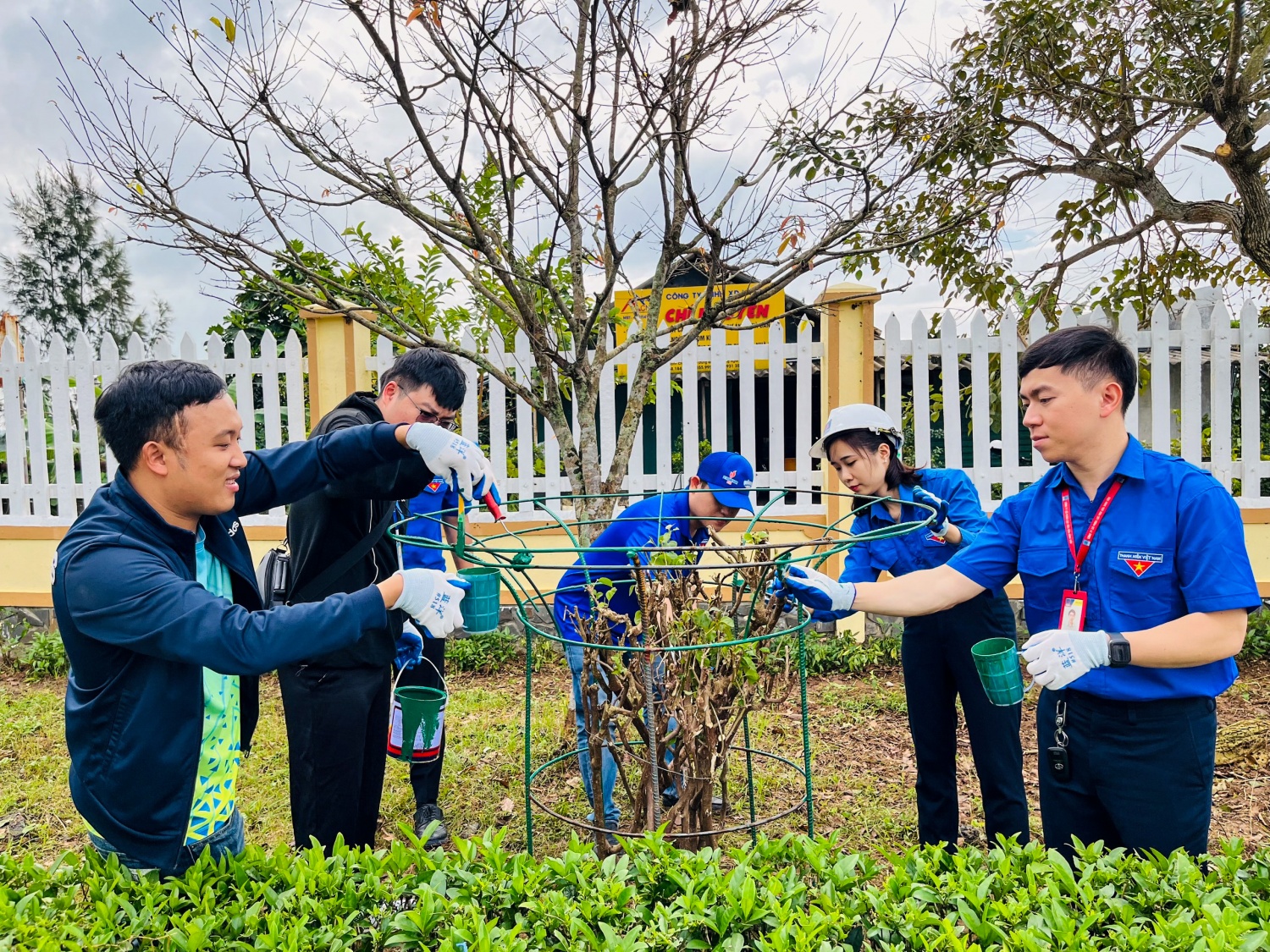 Đoàn Thanh niên BSR tổ chức trồng cây, làm đẹp tuyến đường vào NMLD Dung Quất