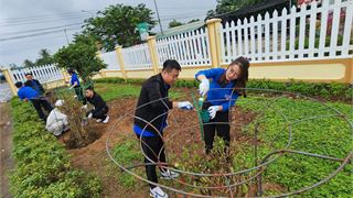 Đoàn Thanh niên BSR tổ chức trồng cây, làm đẹp tuyến đường vào NMLD Dung Quất