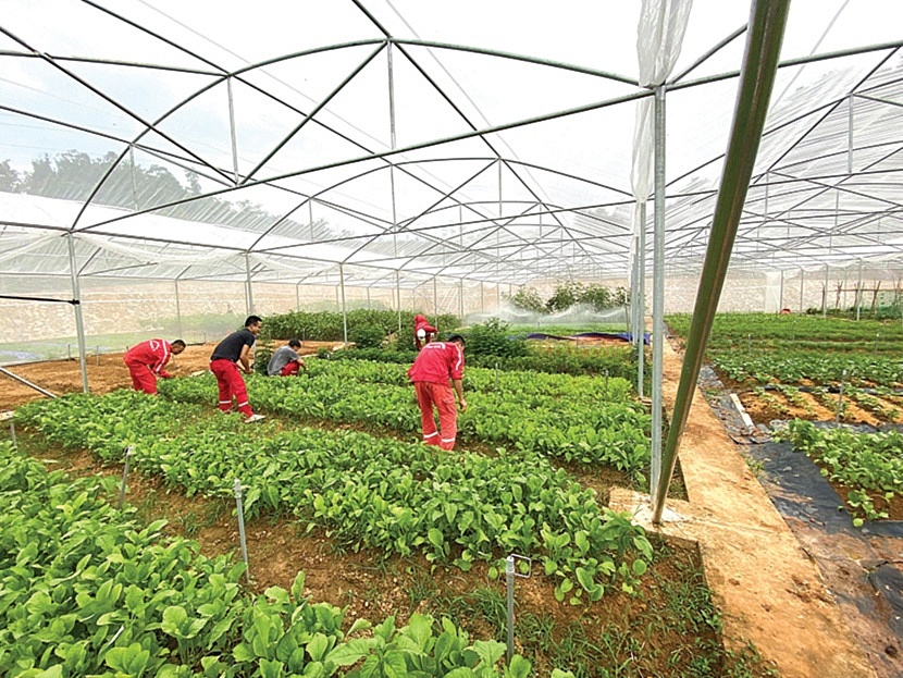 Xuân về nơi Xuân về nơi
