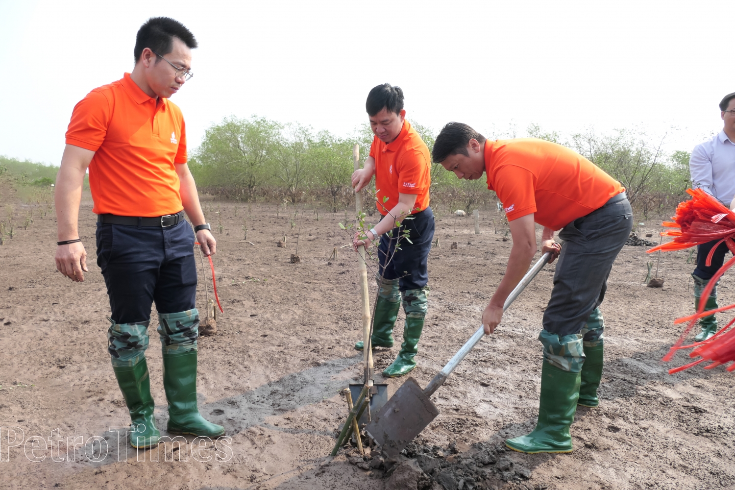 PVEP tích cực triển khai công tác trồng cây xanh ứng phó với biến đổi khí hậu