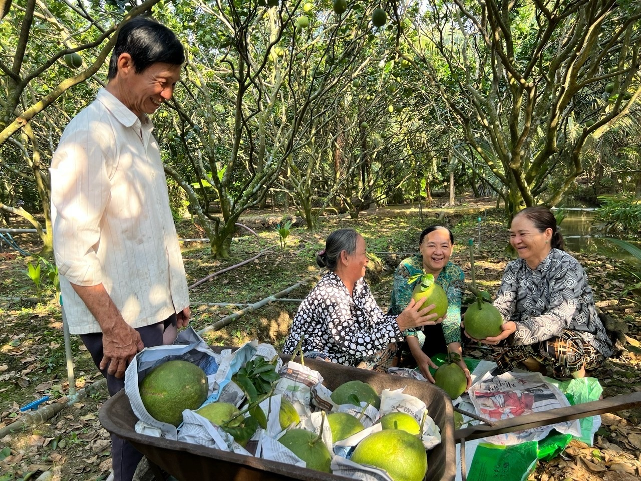 Phân bón Cà Mau đưa bà con nông dân “Tham quan nhà máy - Gặt hái mùa vàng”