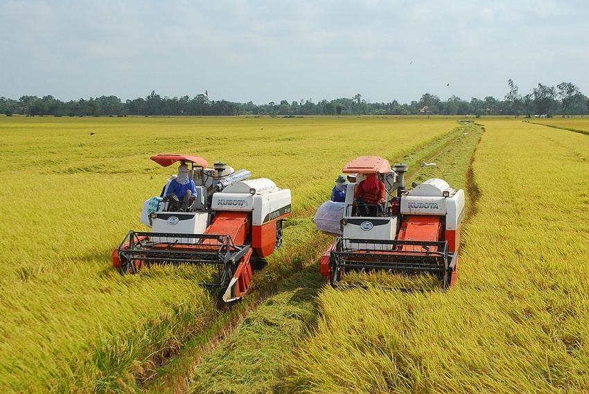 Kỳ I: Bất cập của Luật thuế 71 Kỳ I: Bất cập của Luật thuế 71