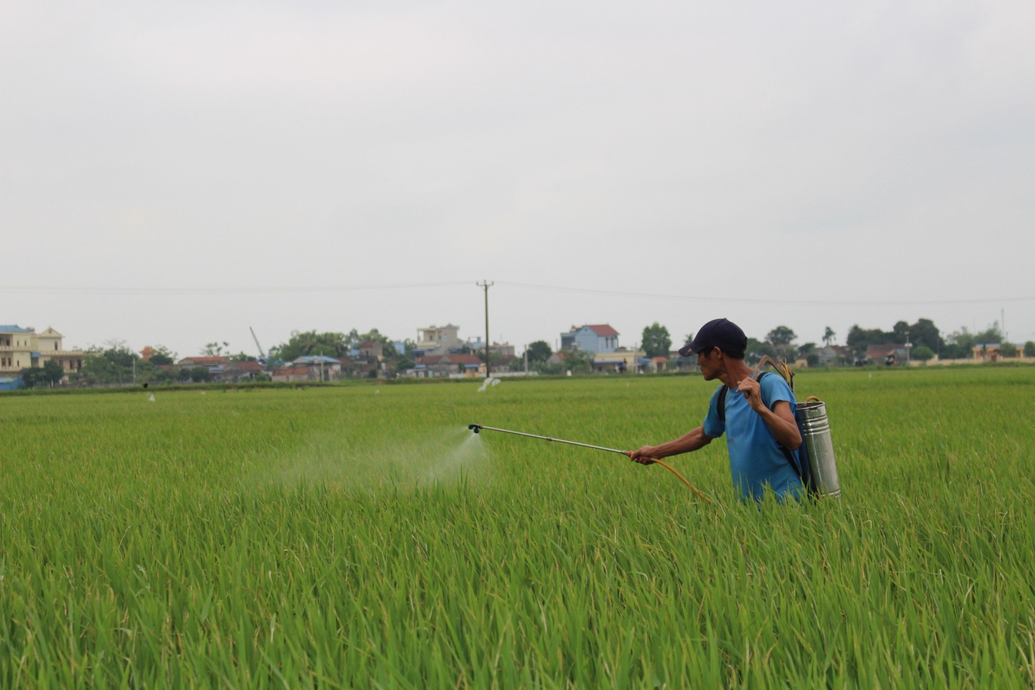 Kỳ II: Nông dân “điêu đứng” vì Luật thuế 71