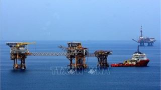 PVN announces two new oil and gas fields