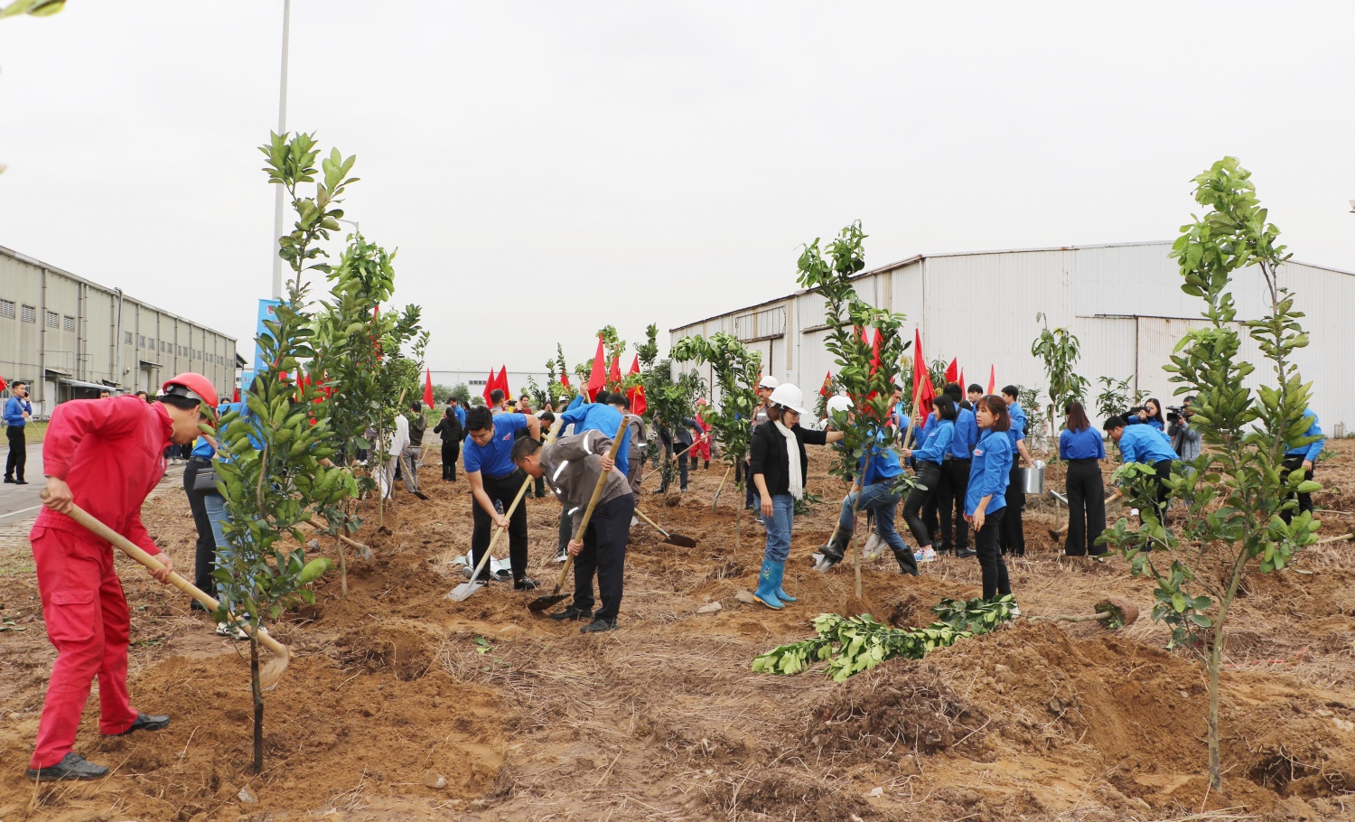 VNPOLY: Đẩy mạnh xây dựng văn hóa doanh nghiệp để phục hồi và phát triển hoạt động sản xuất kinh doanh VNPOLY: Đẩy mạnh xây dựng văn hóa doanh nghiệp để phục hồi và phát triển hoạt động sản xuất kinh doanh