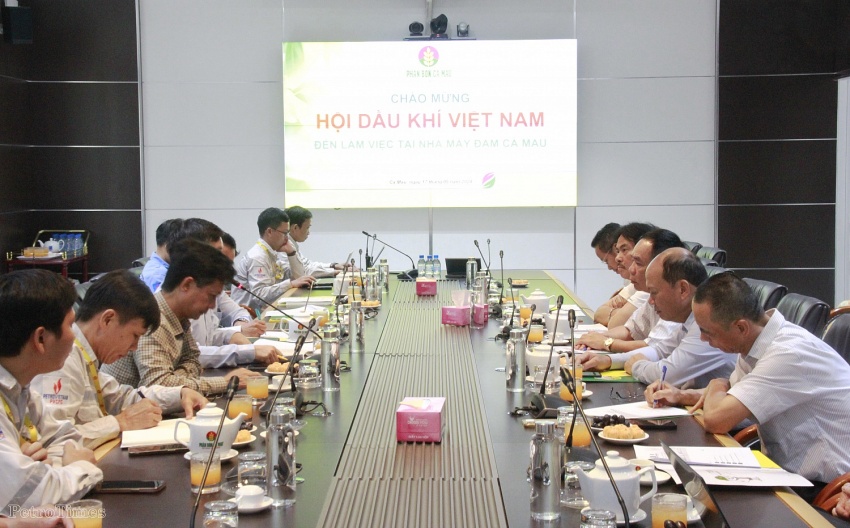 Hội Dầu khí Việt Nam làm việc với Hội Dầu khí Cà Mau và PVCFC Hội Dầu khí Việt Nam làm việc với Hội Dầu khí Cà Mau và PVCFC