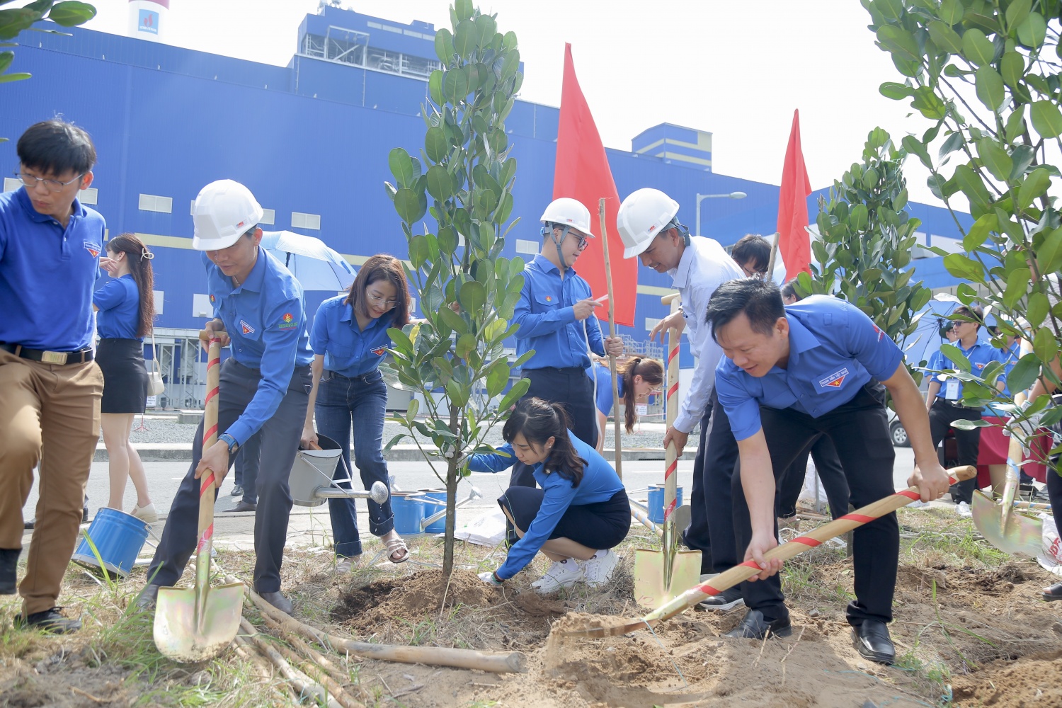 Tuổi trẻ Dầu khí trồng cây phủ xanh Nhà máy Nhiệt điện Sông Hậu 1 Tuổi trẻ Dầu khí trồng cây phủ xanh Nhà máy Nhiệt điện Sông Hậu 1