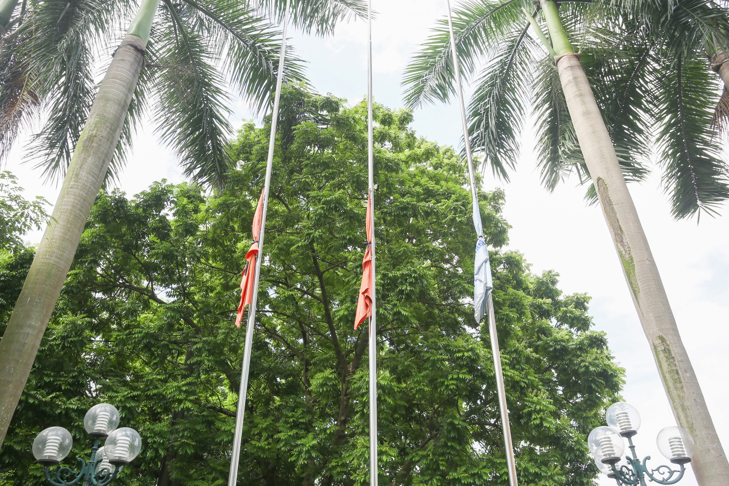 Ngành Dầu khí tưởng nhớ Tổng Bí thư Nguyễn Phú Trọng Ngành Dầu khí tưởng nhớ Tổng Bí thư Nguyễn Phú Trọng