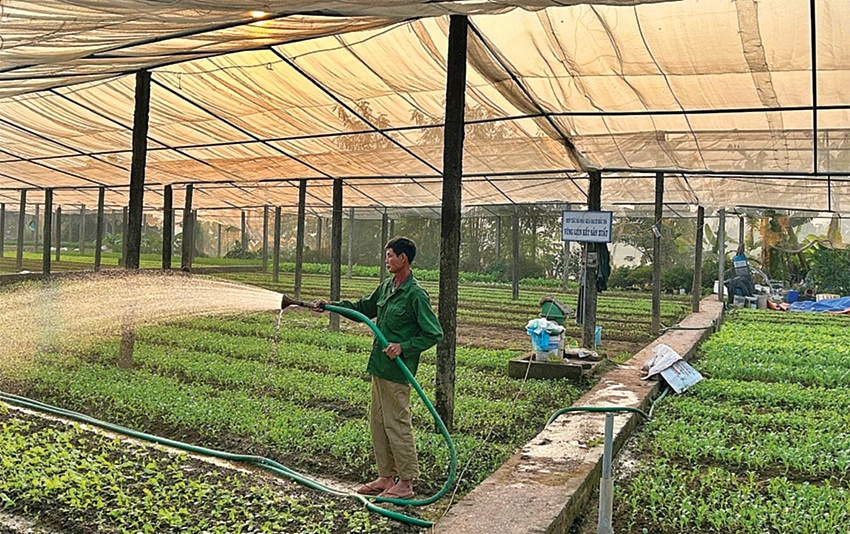 Áp thuế GTGT phân bón 5% để đạt lợi ích lâu dài cho ngành nông nghiệp Áp thuế GTGT phân bón 5% để đạt lợi ích lâu dài cho ngành nông nghiệp