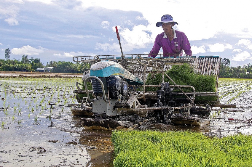 Áp thuế 5% đối với phân bón, “3 nhà” đều được lợi Áp thuế 5% đối với phân bón, “3 nhà” đều được lợi