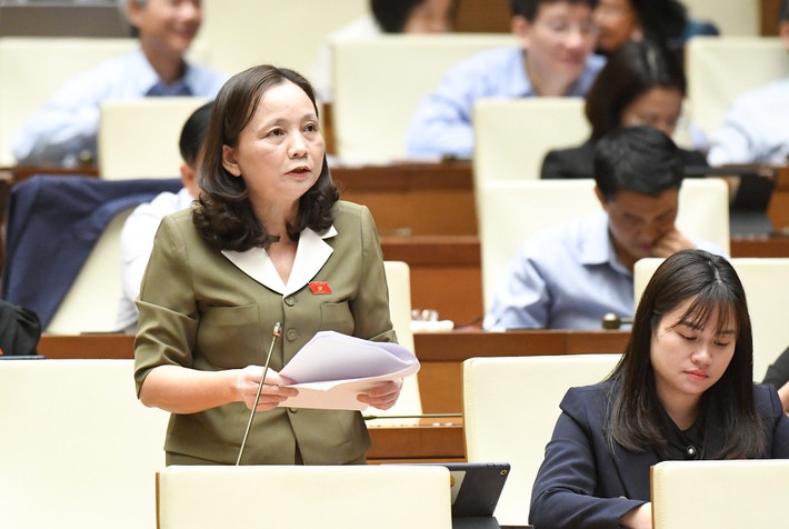 Nhiều đại biểu tán thành việc đưa phân bón vào đối tượng chịu thuế GTGT 5% Nhiều đại biểu tán thành việc đưa phân bón vào đối tượng chịu thuế GTGT 5%